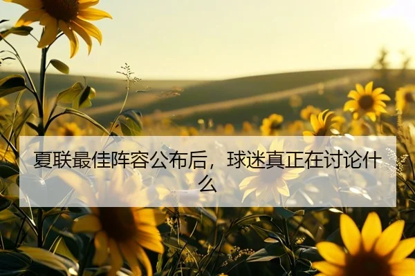 夏联最佳阵容公布后，球迷真正在讨论什么
